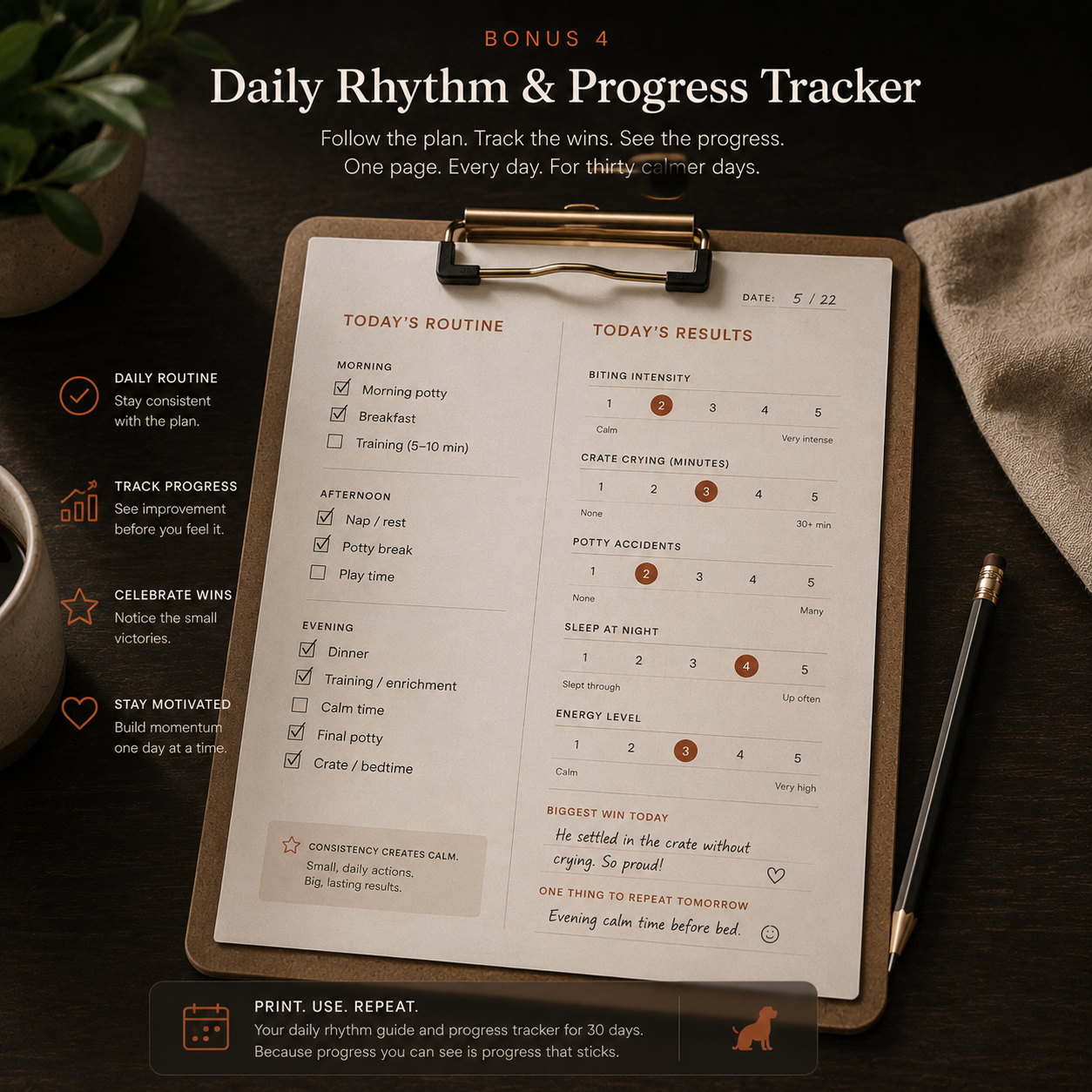 Daily Rhythm and Progress Tracker printable mockup
